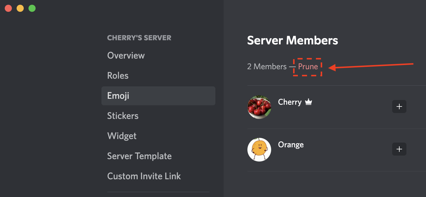 Como Remover Membros Inativos – Discord