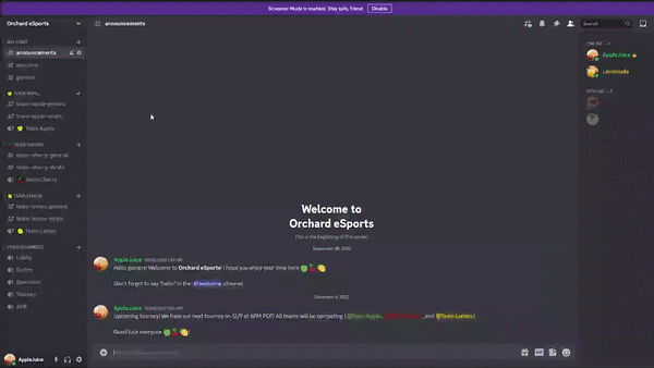 Complete Professional Discord Server Setup