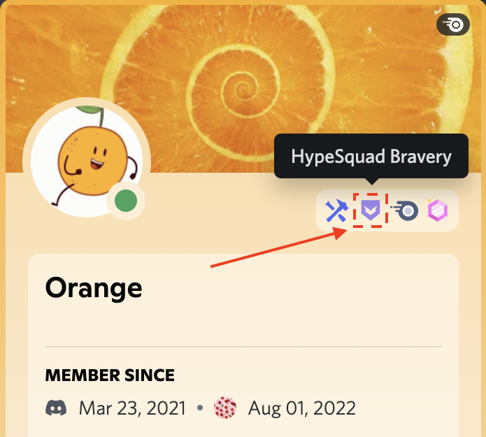 hypesquadicon_finalized.png