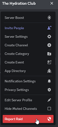 How to Protect Your Discord Server