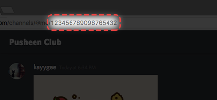 what is my discord id