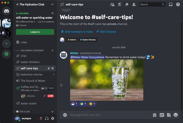 Como criar o seu próprio canal de chat no Discord?