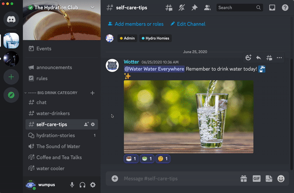 FAQ para Administradores do Discord – Discord