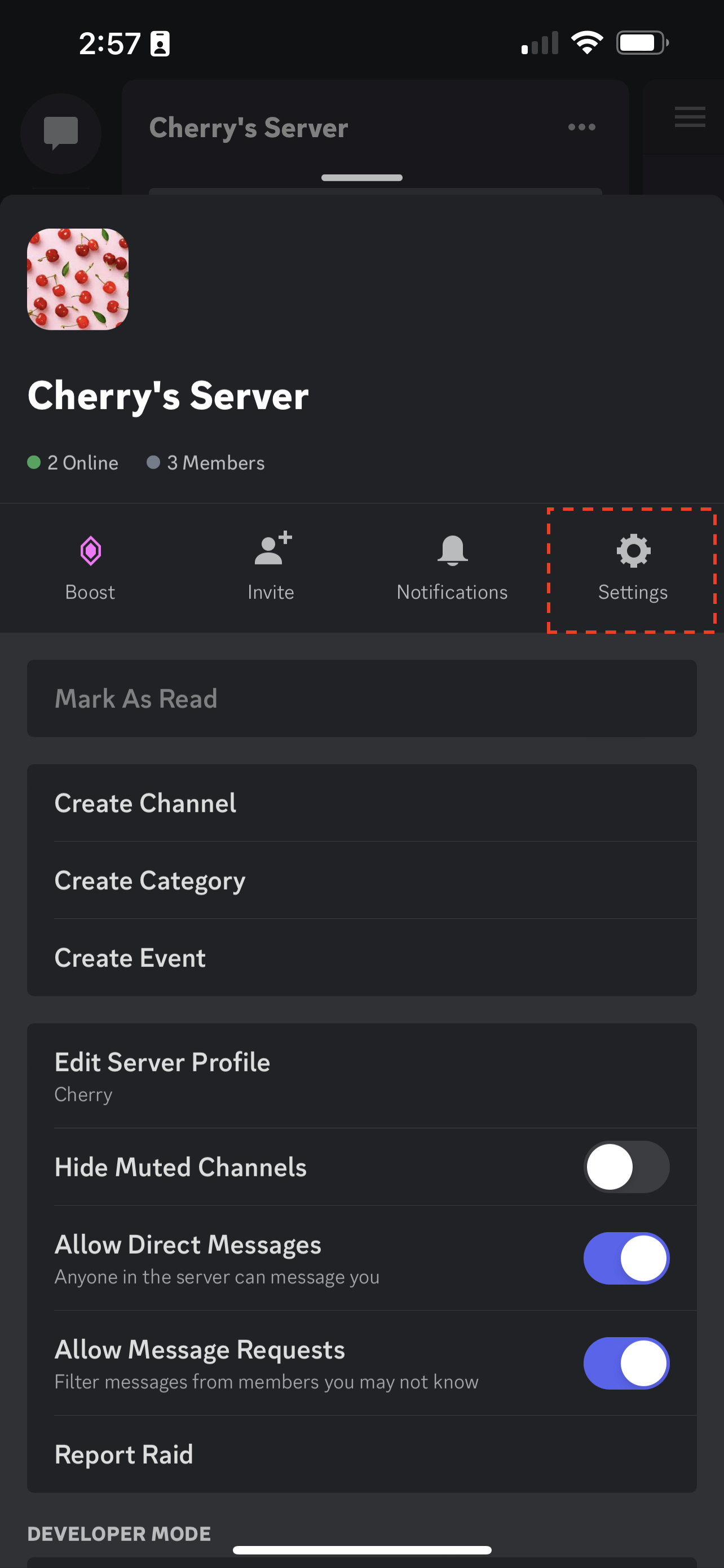 Verification Levels – Discord