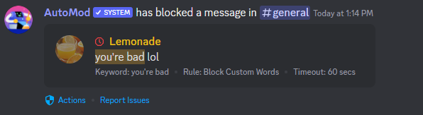 automod_systemmessage.png