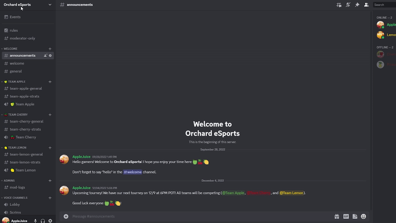 system x discord