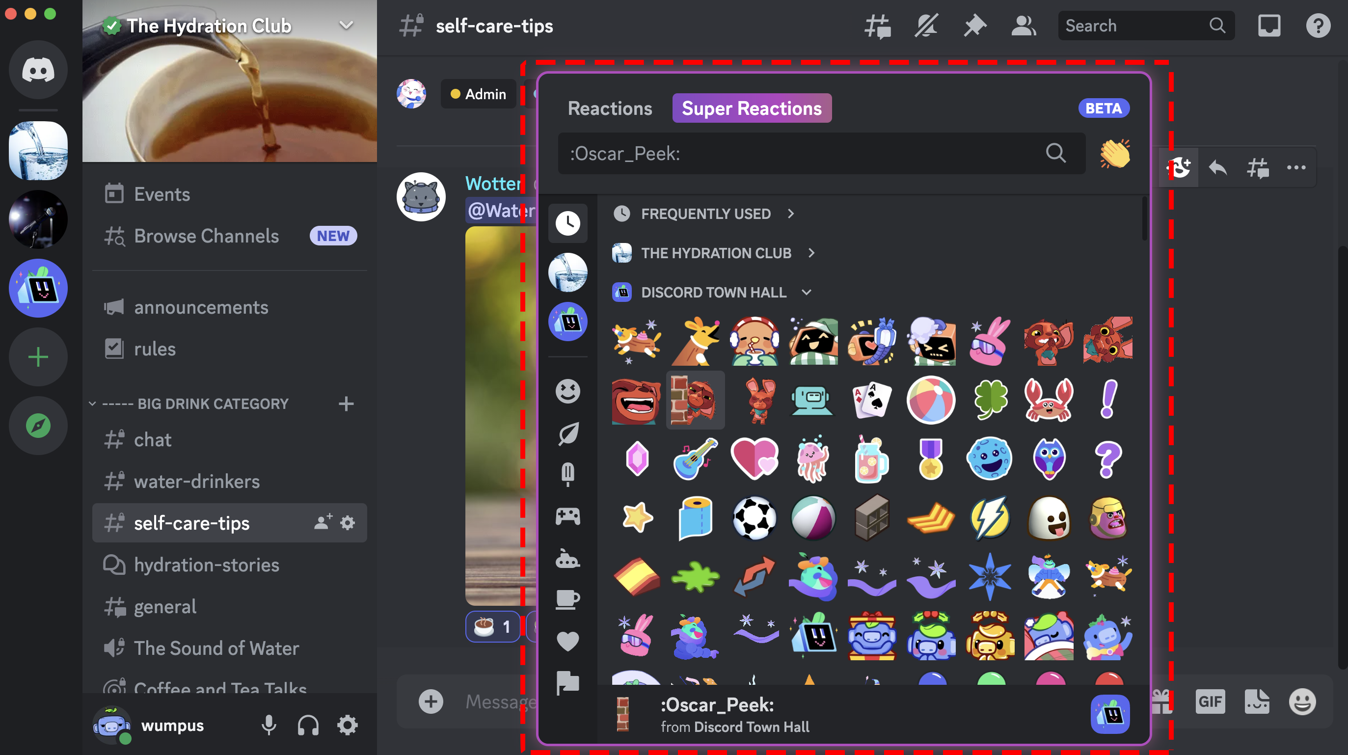 Reactions and Super Reactions FAQ Discord