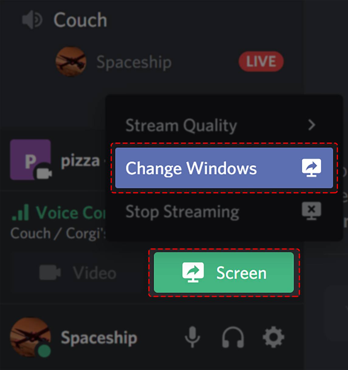 how to view screen sharing discord server