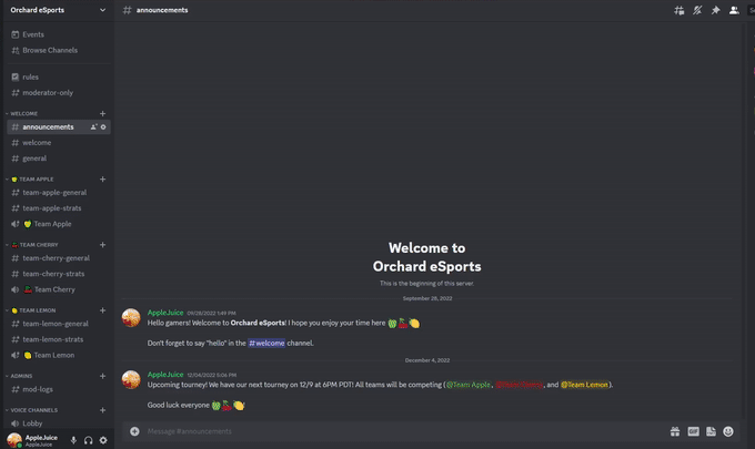 WE HAVE A DISCORD SERVER!!!!!!!! 