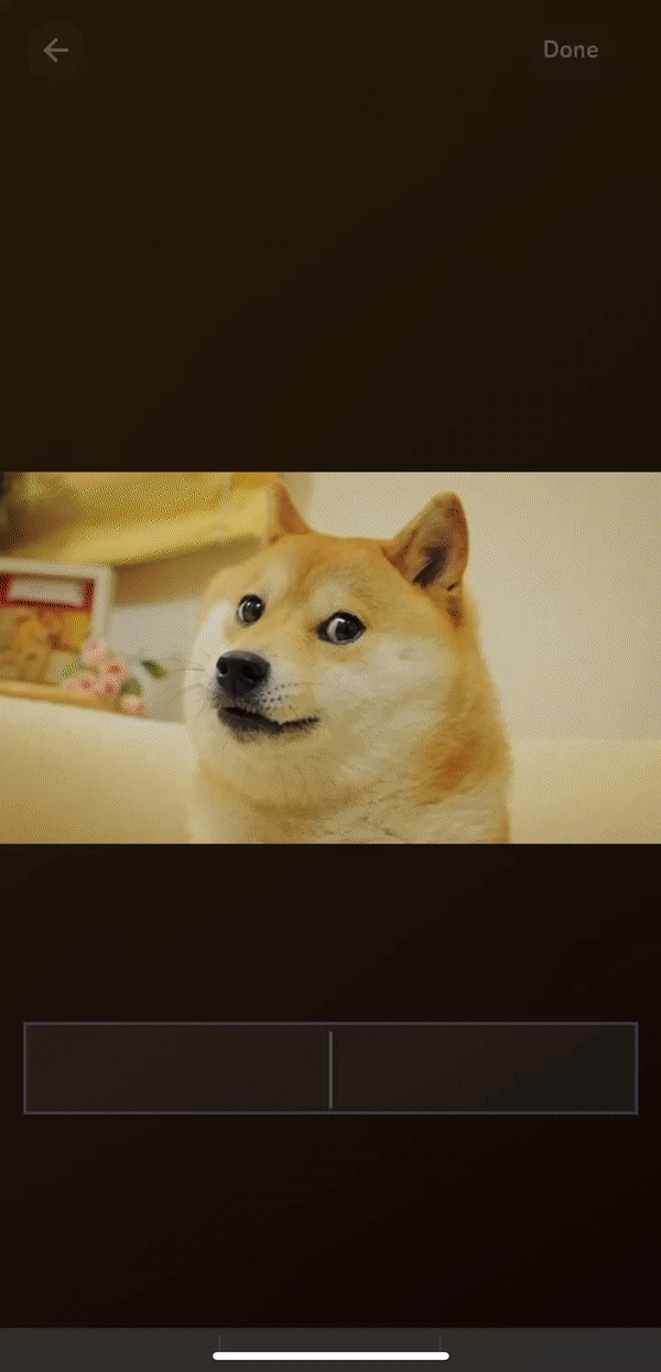 writing.gif