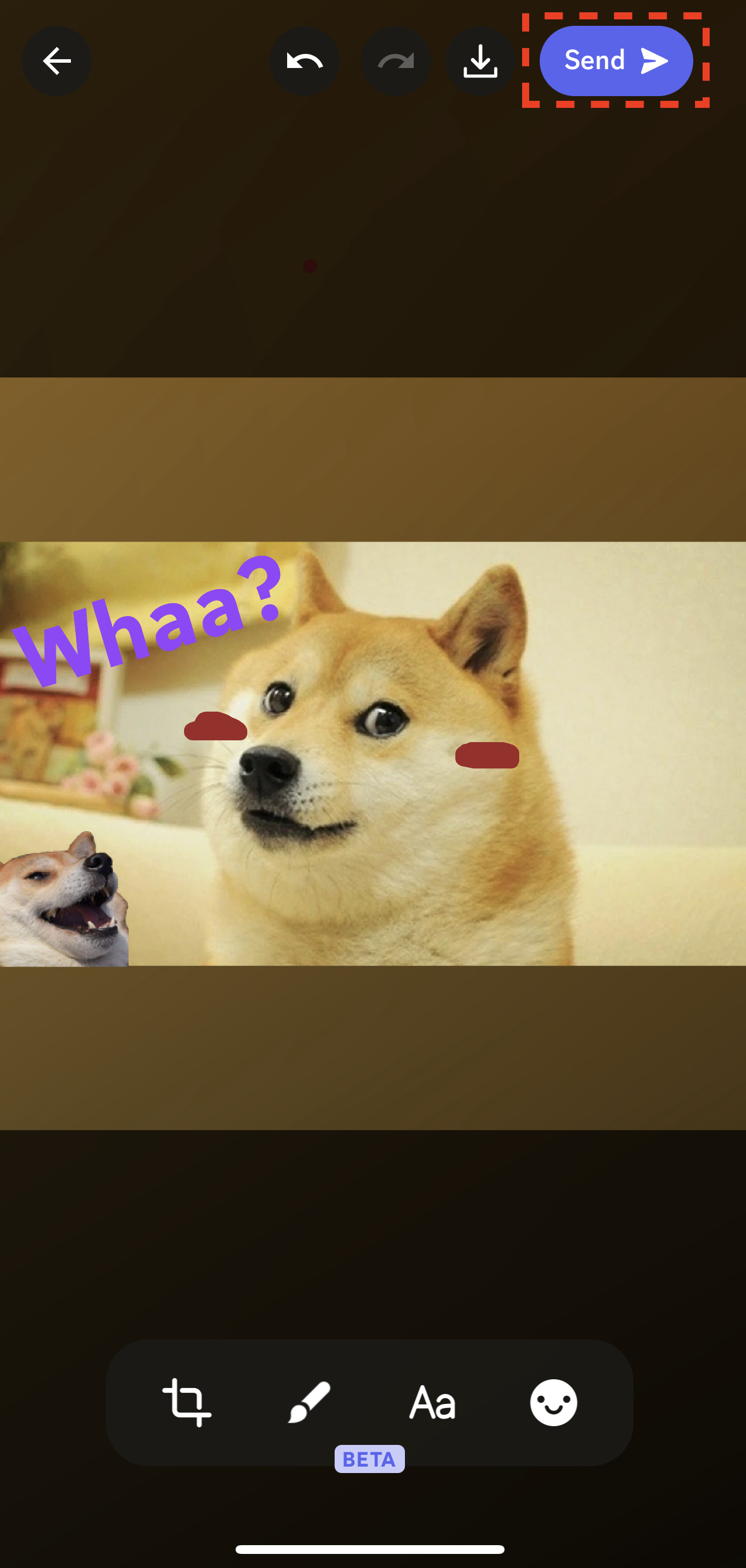 send.jpeg
