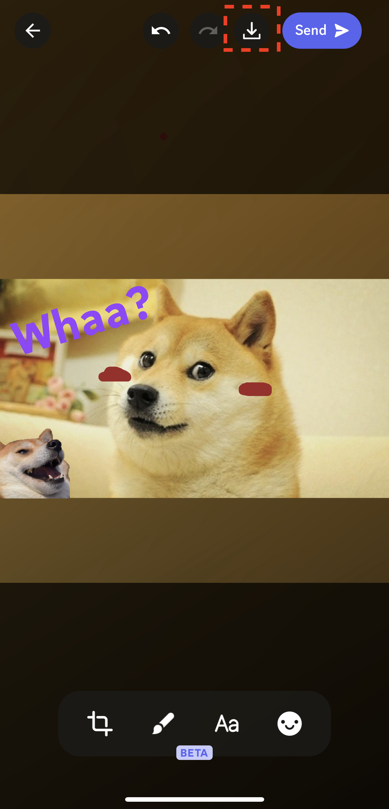 saveimage.jpeg