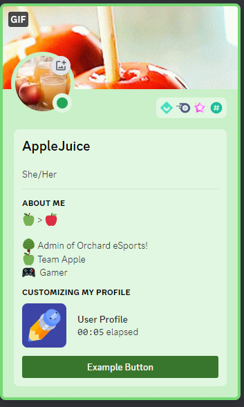 Discord Profile Example