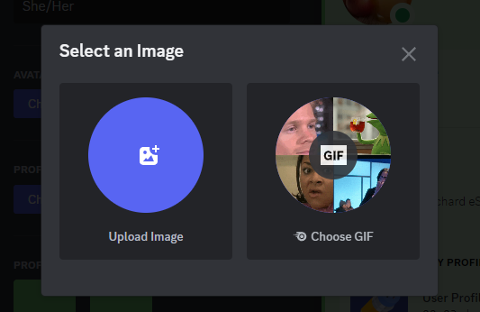 Custom Profiles – Discord