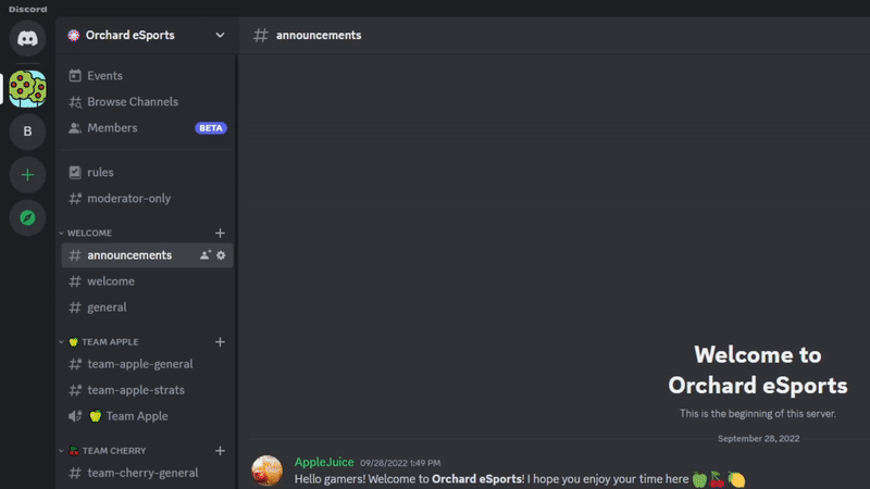 Conexões e Cargos Conectados: Admins – Discord