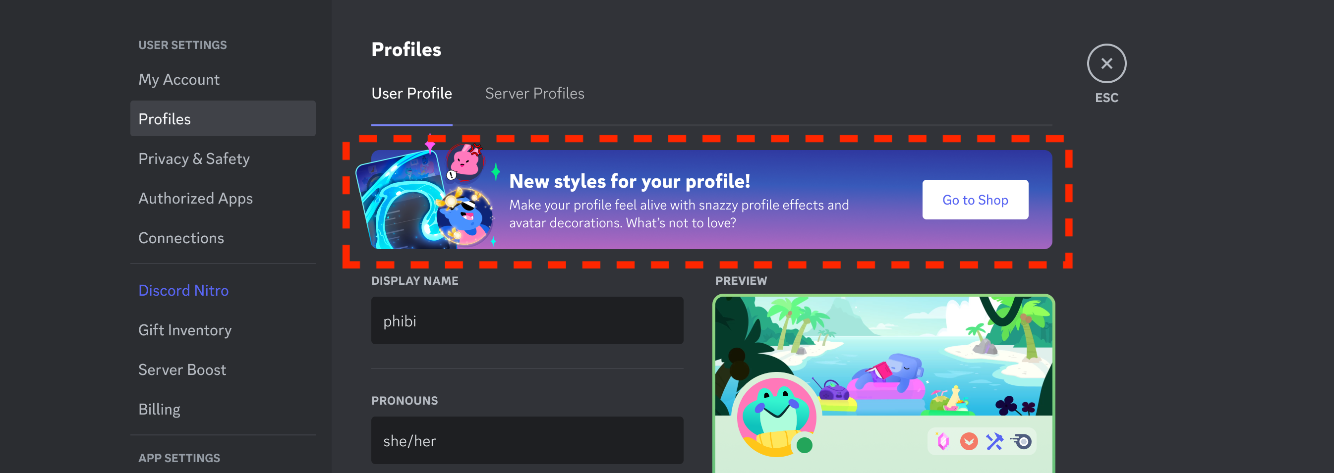 Server Profiles – Discord