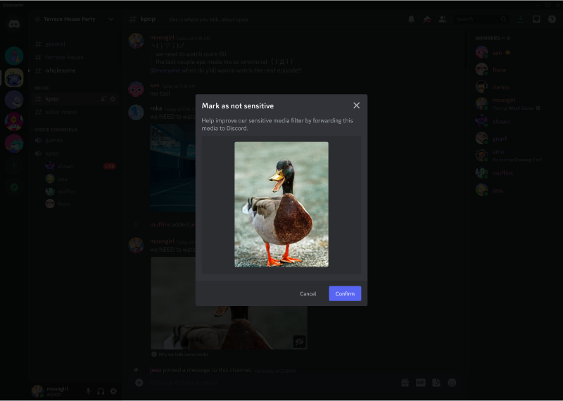 Discord Sensitive Content Filters Discord