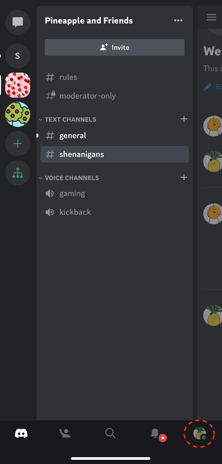 How to Appear Offline on Discord: Desktop & Mobile