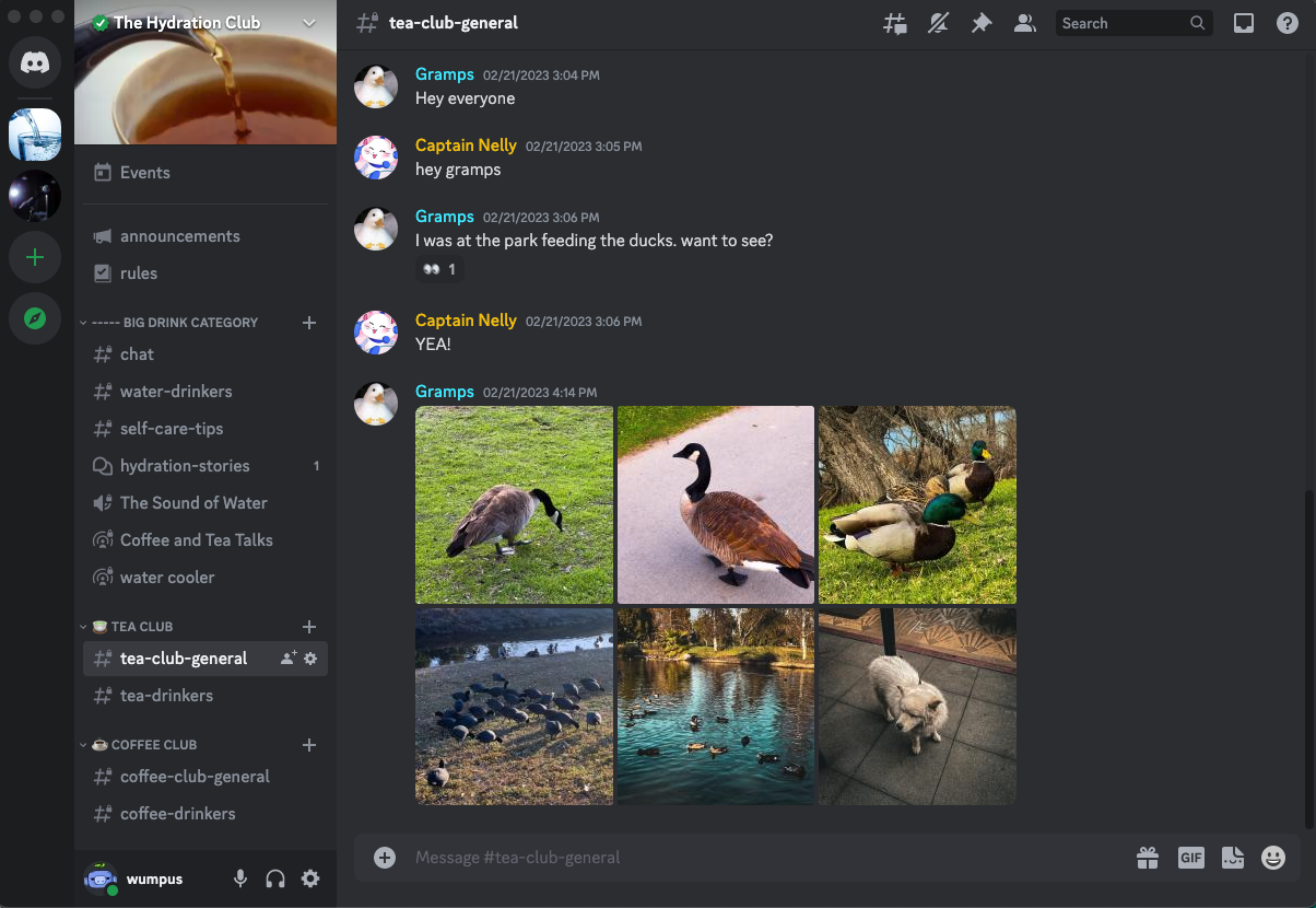 How can I change Discord's appearance/theme? Discord
