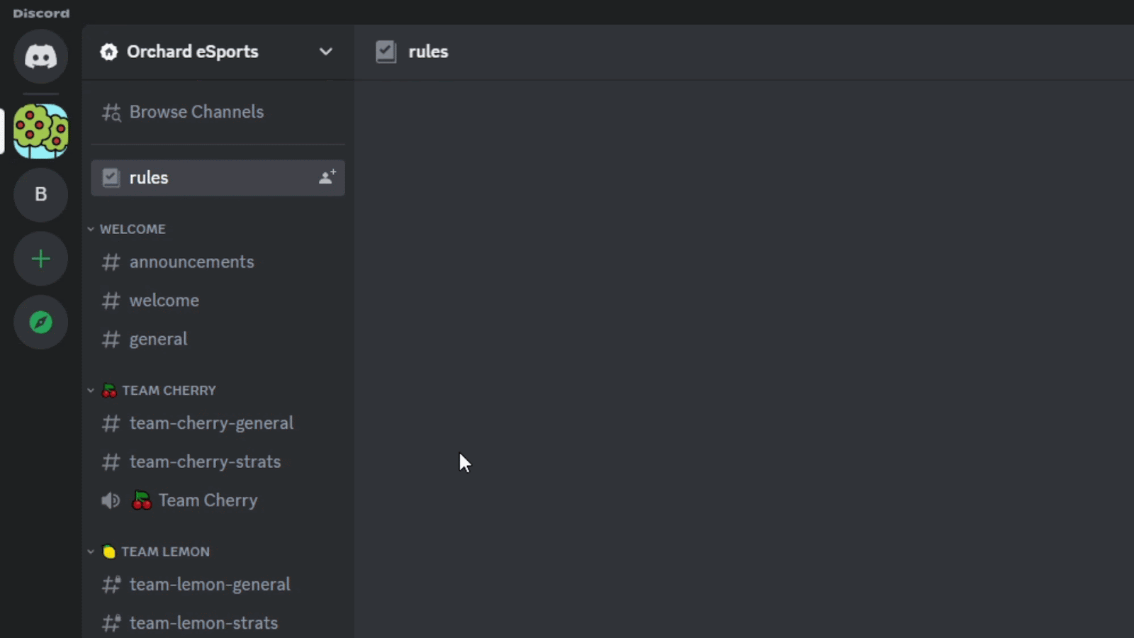 manage your discord server