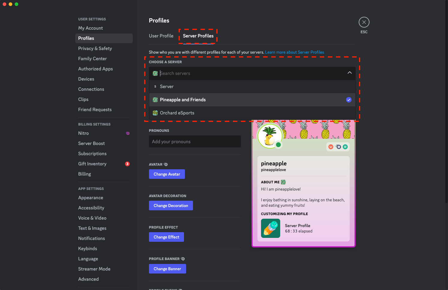 Server Profiles – Discord