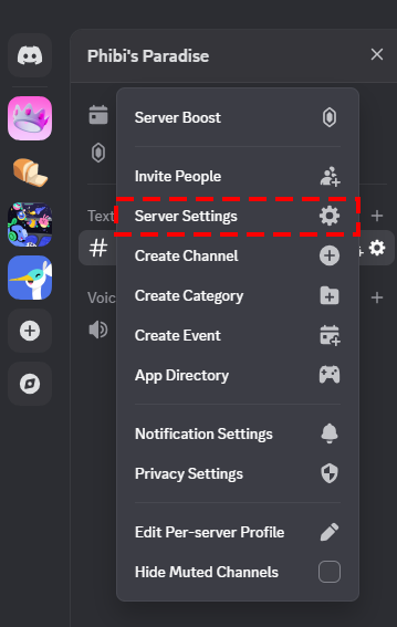 Server Settings option
