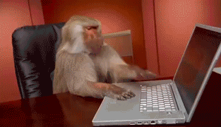 monkeycomputermad.gif