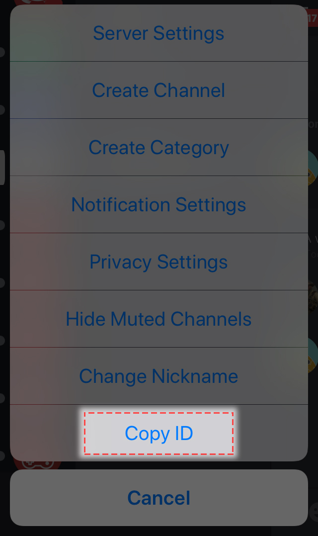 How to enable Developer Mode & Copy an ID