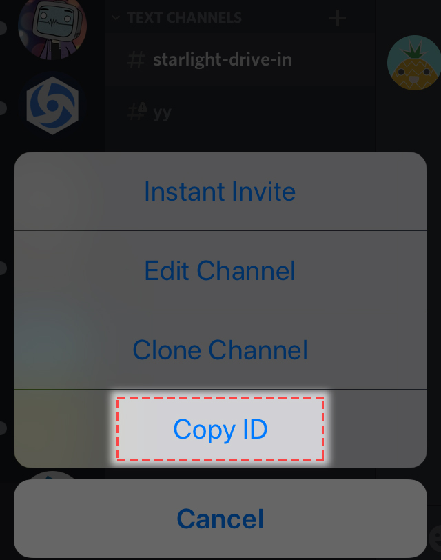 Where can I find my User/Server/Message ID? – Discord