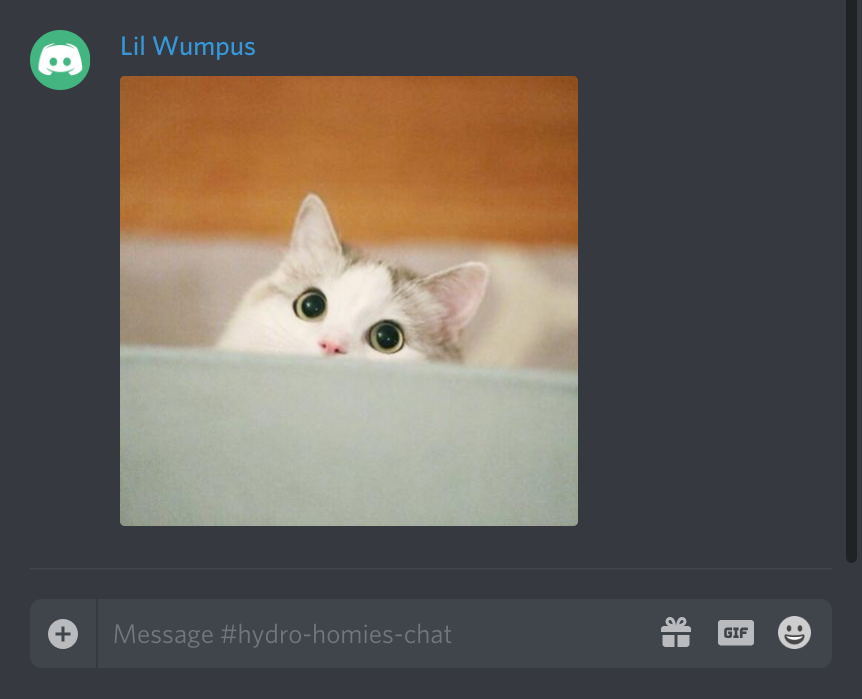 メッセージを送る Discord