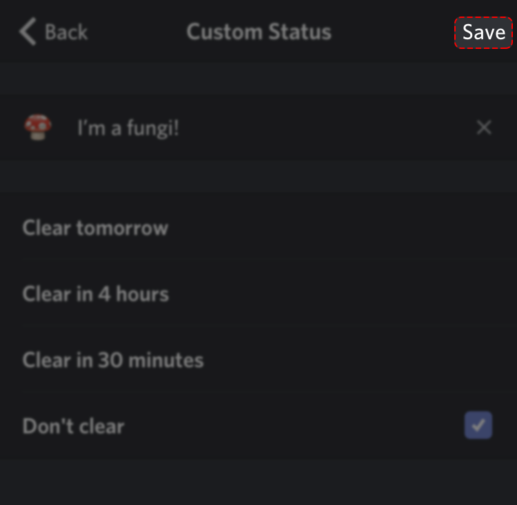 Custom Status Discord