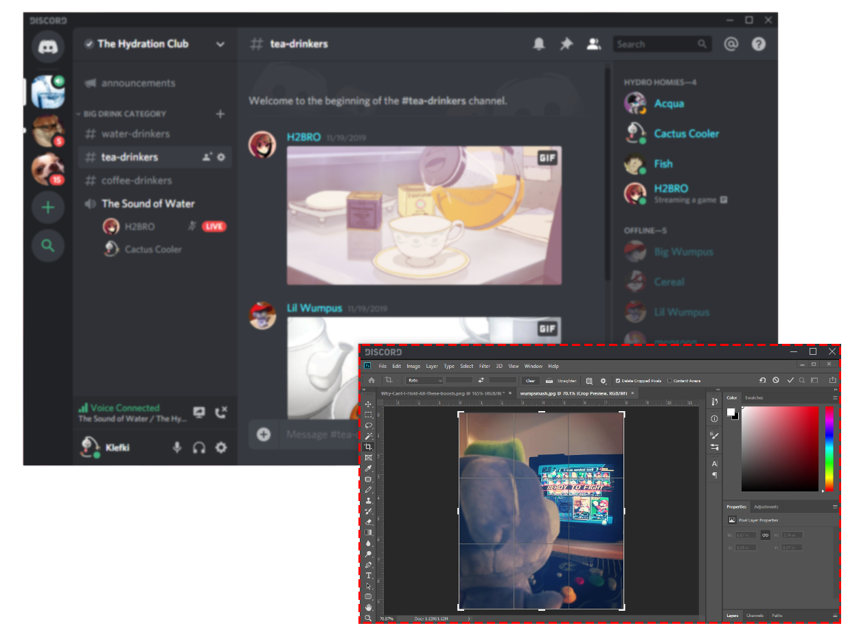 screen sharing discord for mac