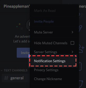 hidden channels discord plugin