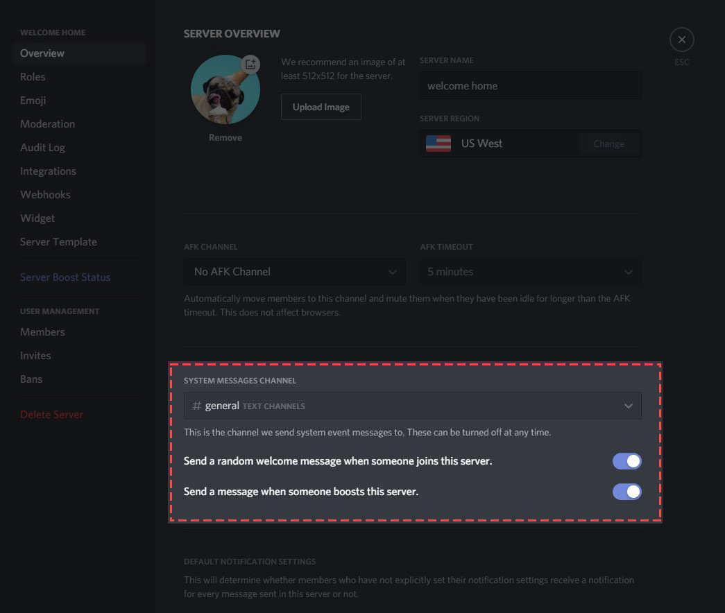 Create Discord server and set up a welcome experience