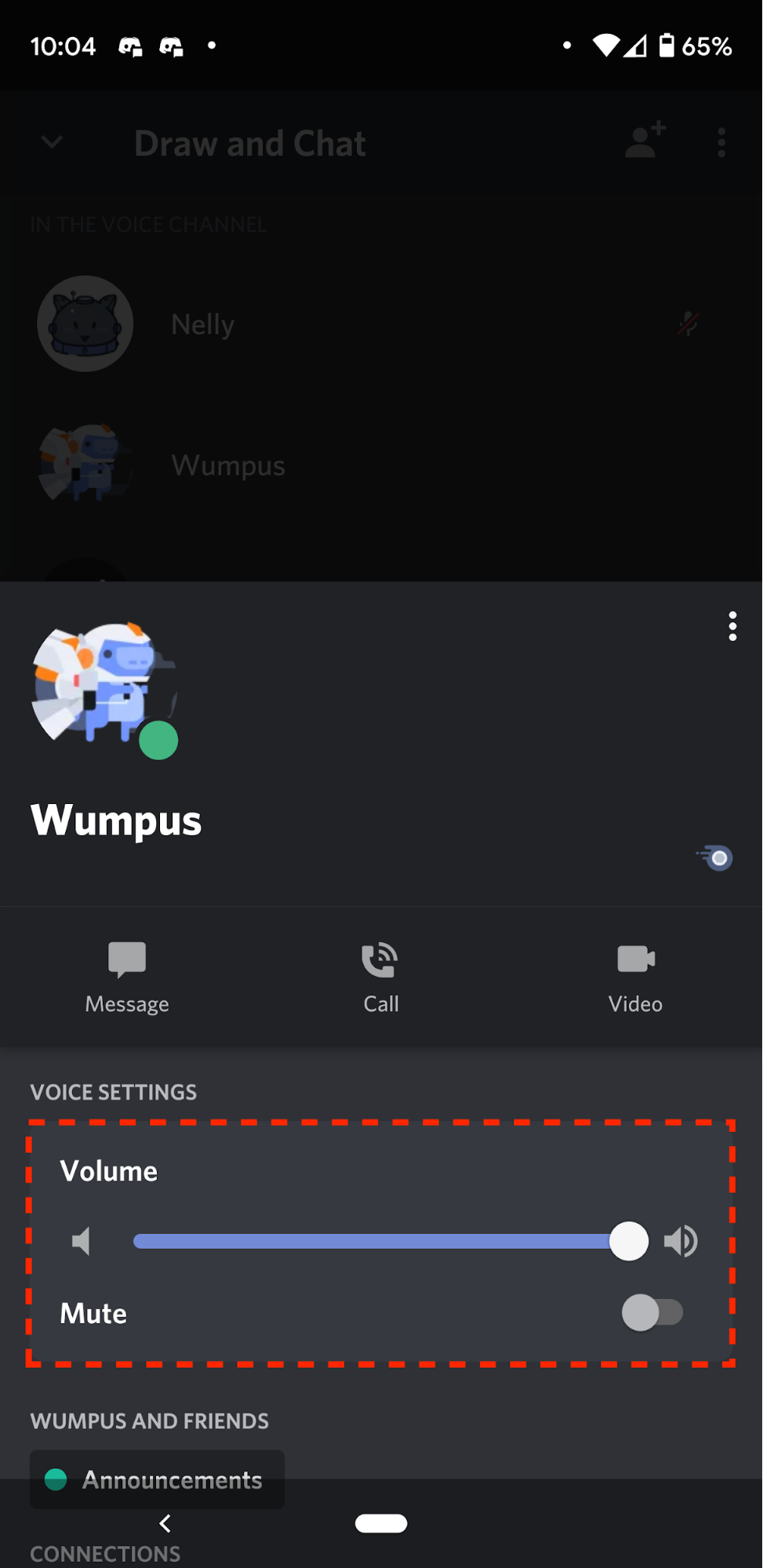 video chat on discord for mac not working