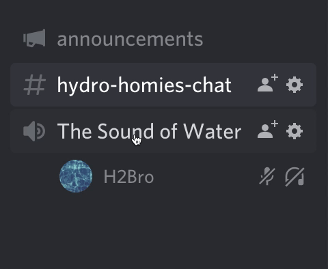 Discord voice chat