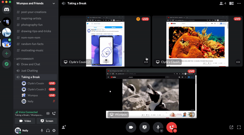 Video & Screenshare Updates - Multistream and More! – Discord