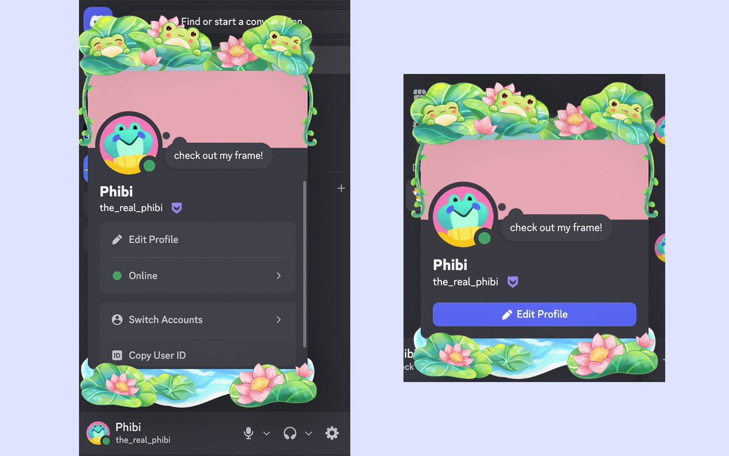 profile-frame-example.png