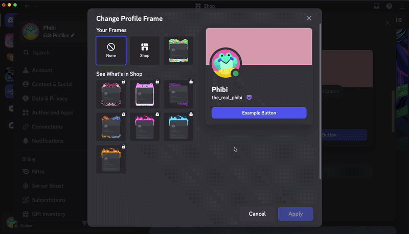 choose-apply-profile-frame.gif