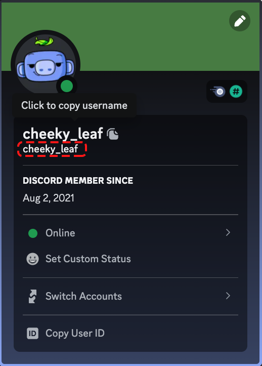 desktop-copy-username.png