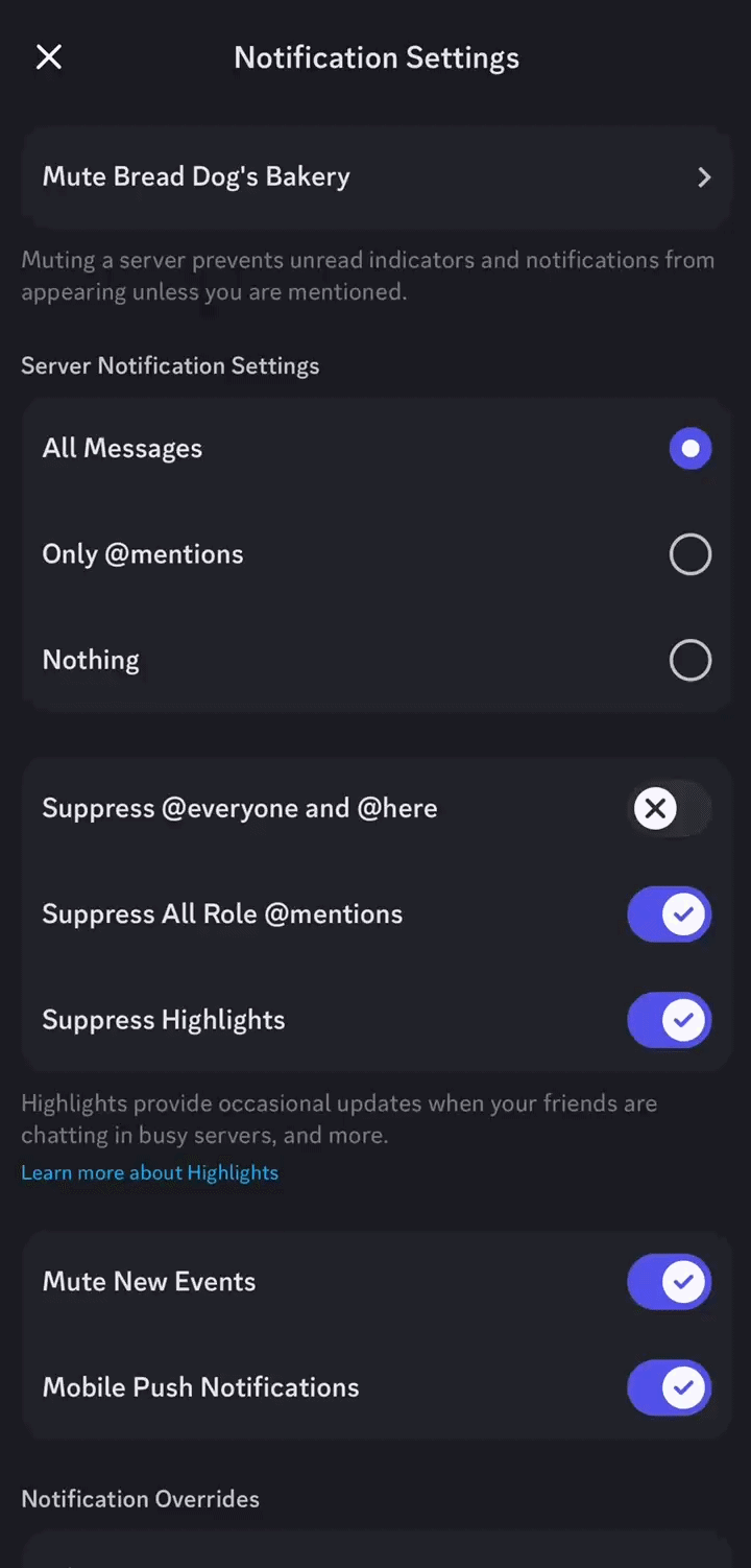 Setting Notification Override for a Channel