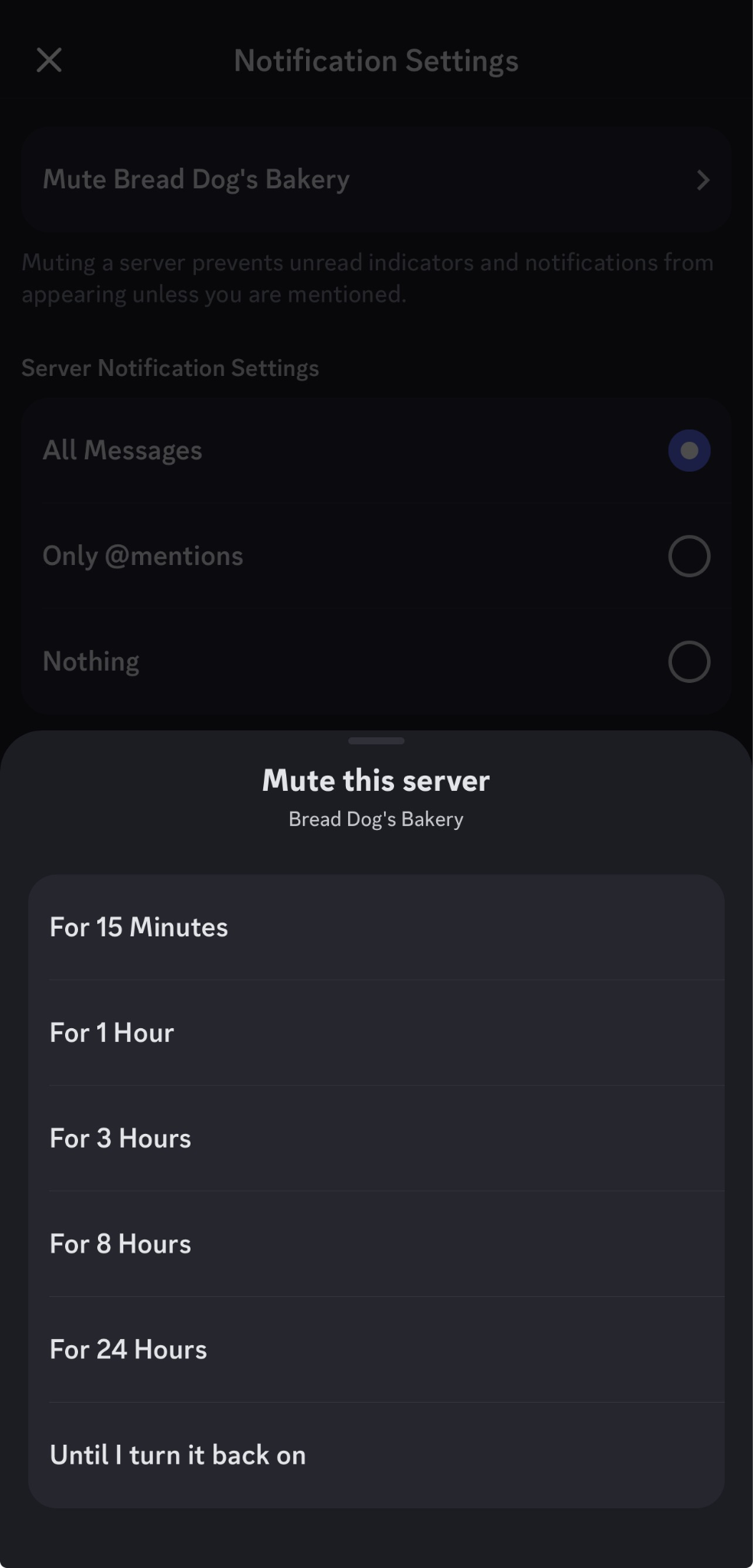 Opzioni durata silenziamento