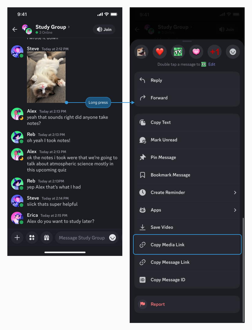Et eksempel på den kontekstmenu, der vises i Discord-mobilappen, efter du har trykket længe på en mediefil for at finde indstillingen "Kopier medielink".