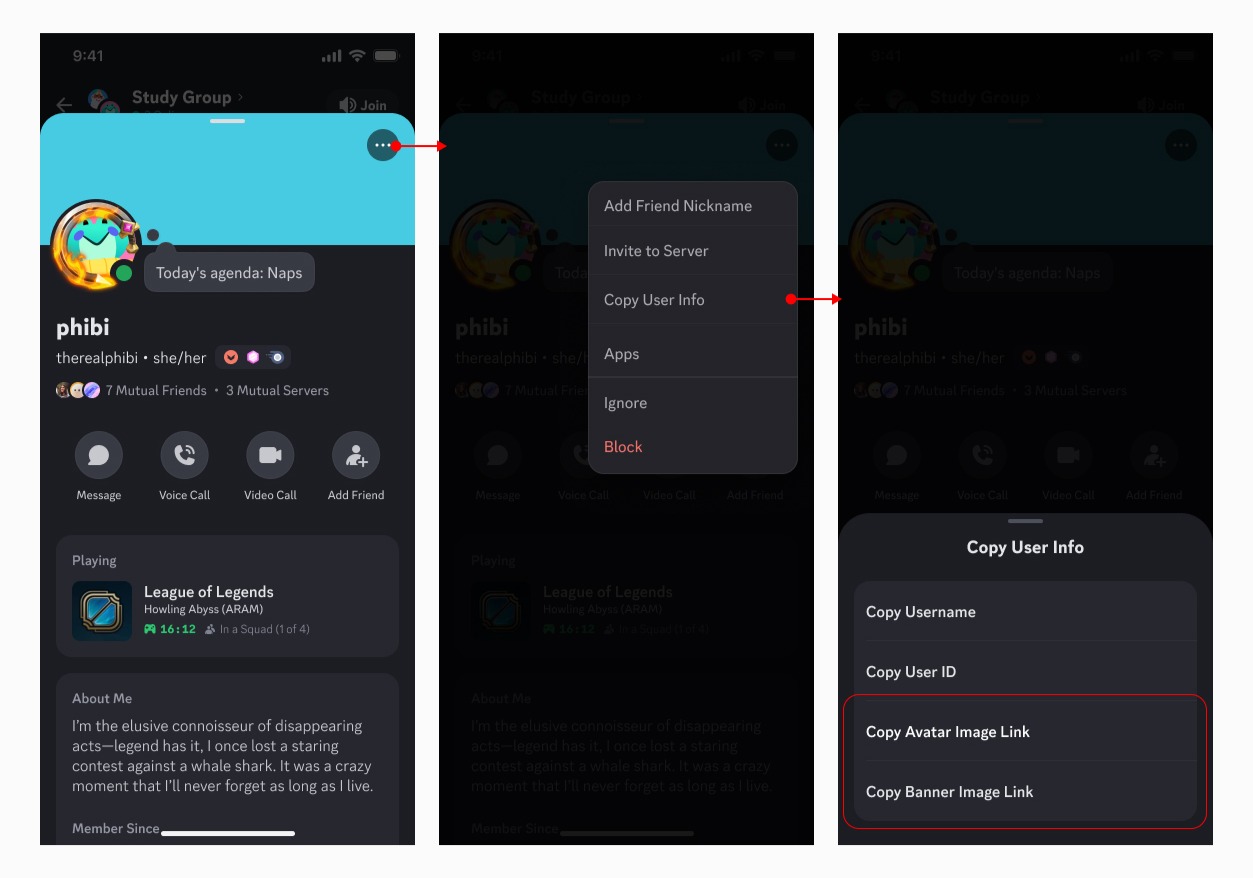 Al abrir el menú de tres puntos del perfil de un usuario, aparecerá el menú contextual. Desde allí, puedes ir a Copiar información de usuario y encontrar las opciones Copiar enlace de la imagen del avatar y Copiar enlace de la imagen del cartel.