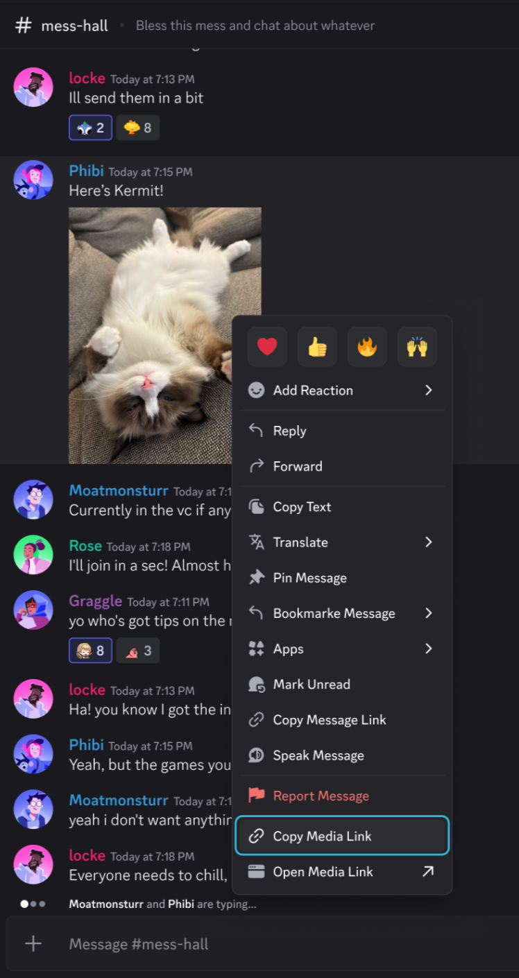 Exemplo do menu contextual no app para área de trabalho do Discord depois do clique com o botão direito do mouse em um anexo de mídia para localizar a opção Copiar link de mídia.