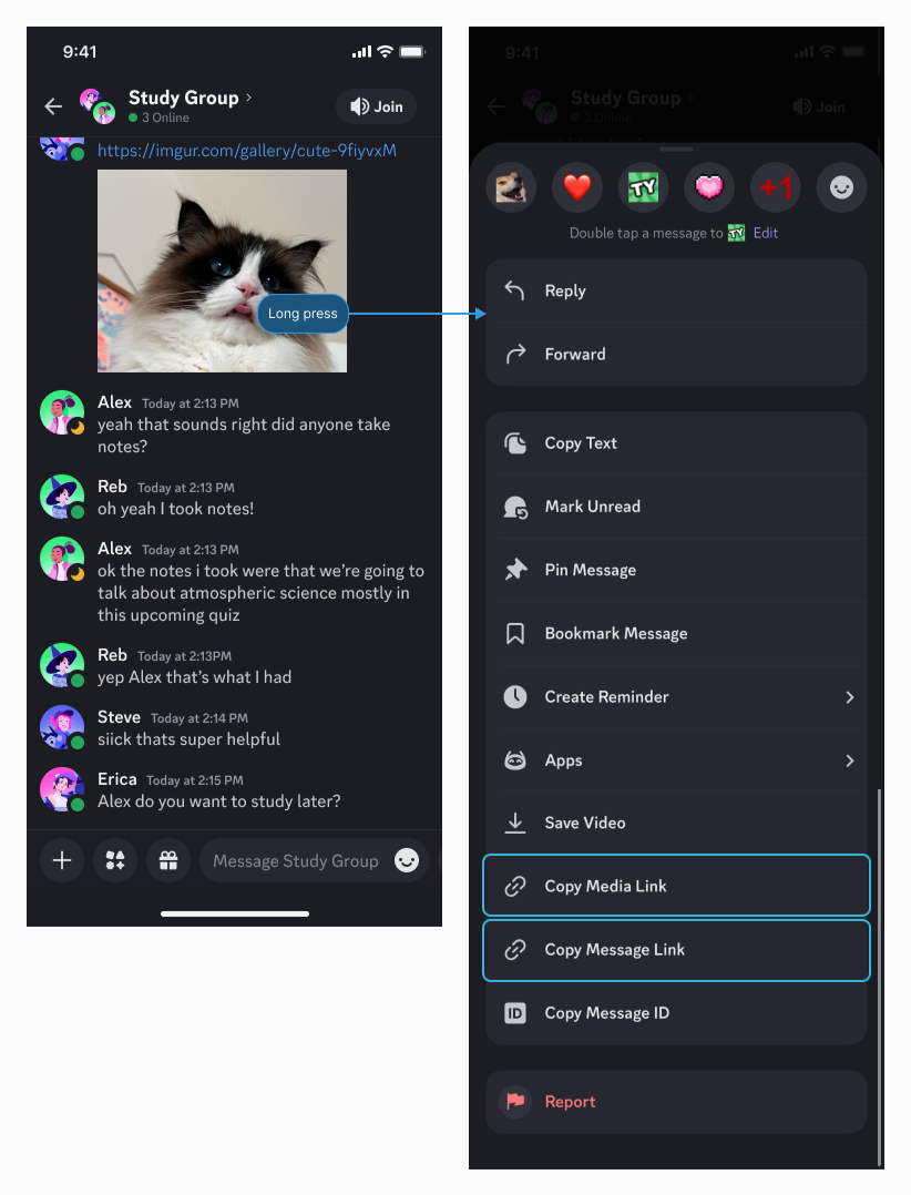Exemplo do menu contextual suspenso no app móvel do Discord depois de manter o dedo pressionado em uma mensagem com link de terceiros para localizar as opções Copiar link de mídia e Copiar link da mensagem.