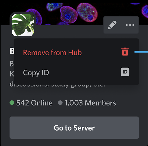 ATUALIZAÇÃO CENTRAL DE ESTUDANTES DISCORD EXPLICADA - Student Hubs 