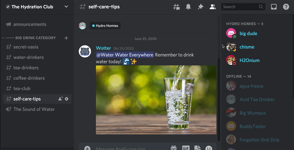 Discord: How to Use a GIF as Your Avatar