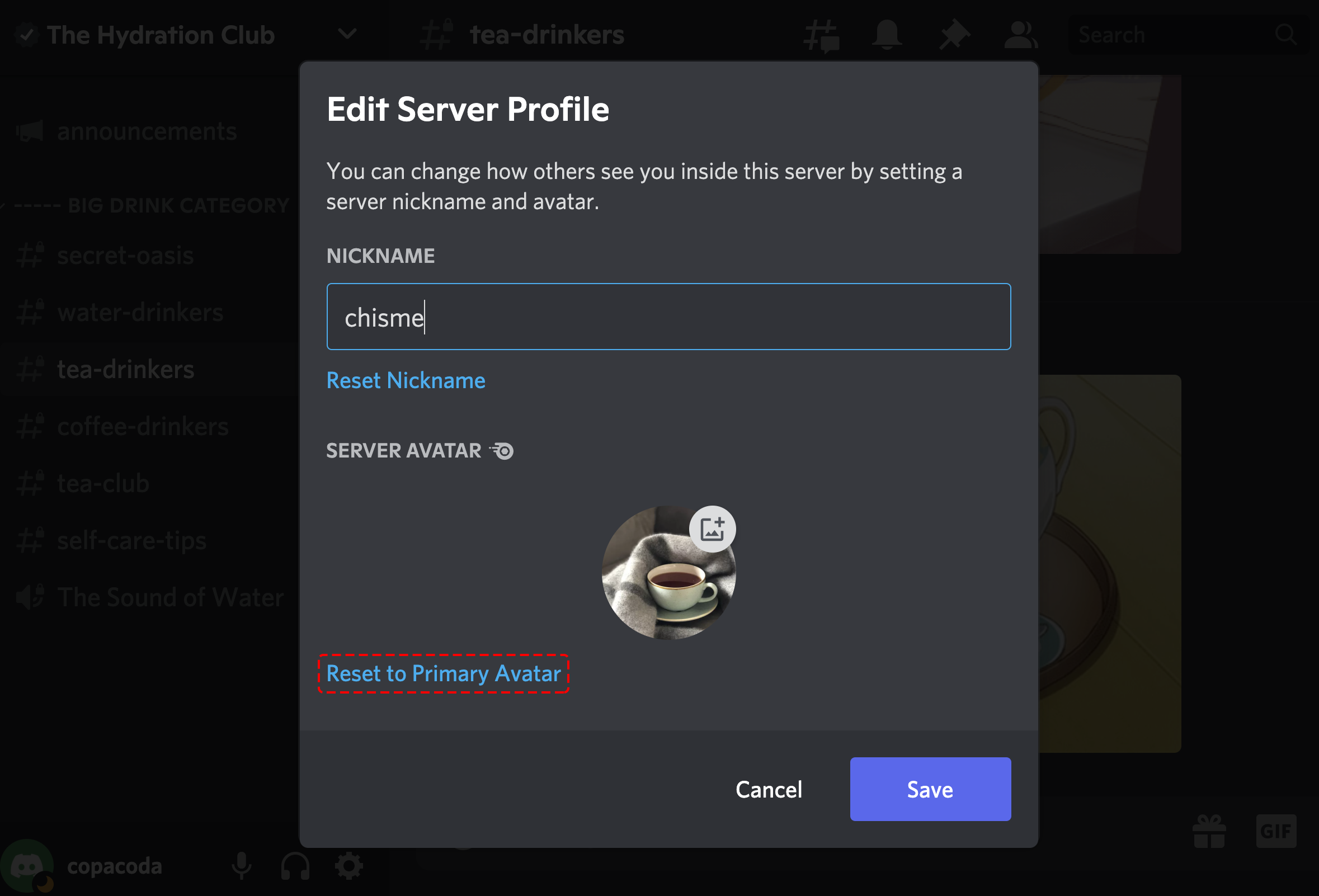 How to set a server avatar on Discord