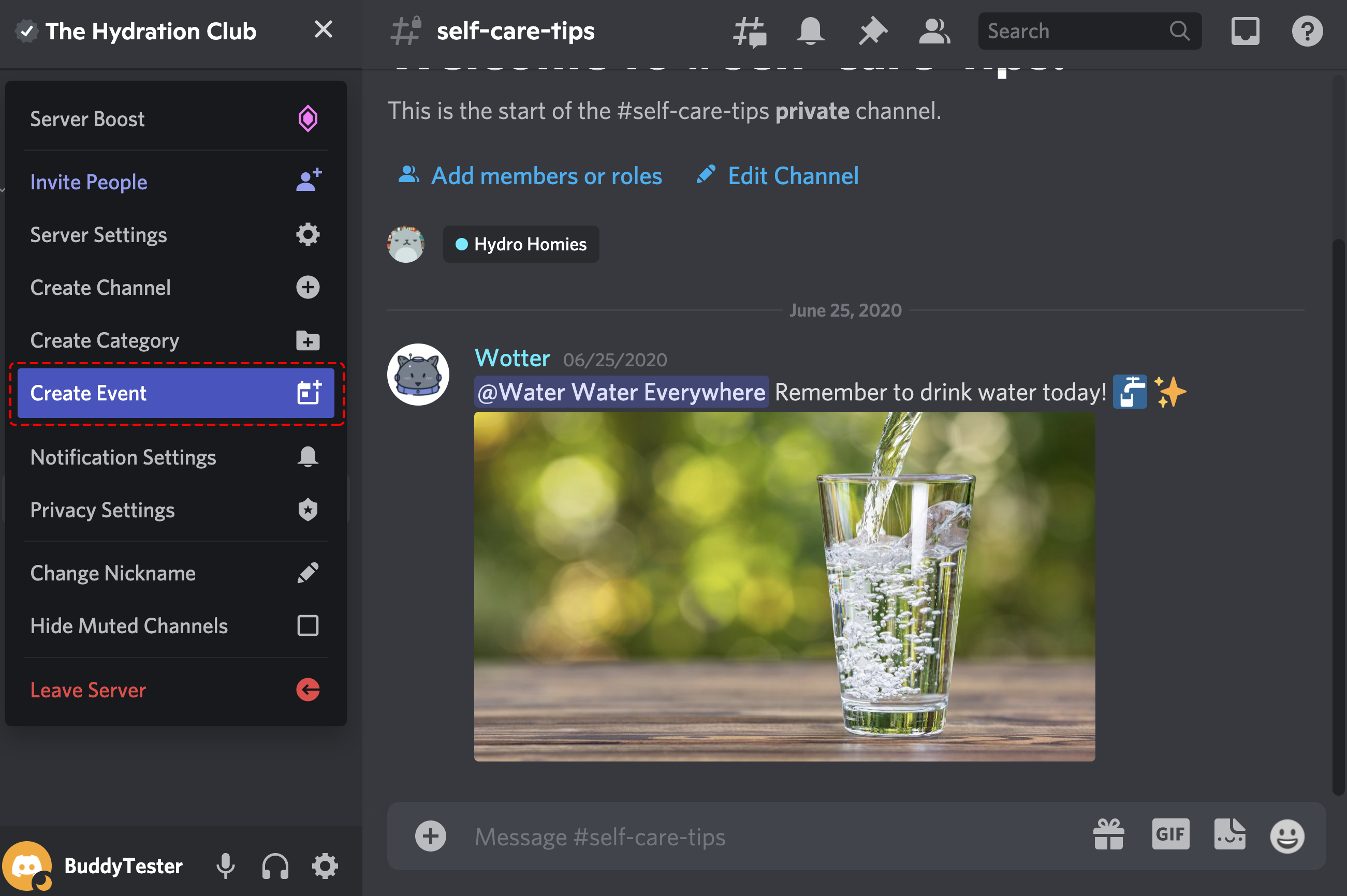 The Vietbunny Discord: A Timeline Of Events - pk25bhx